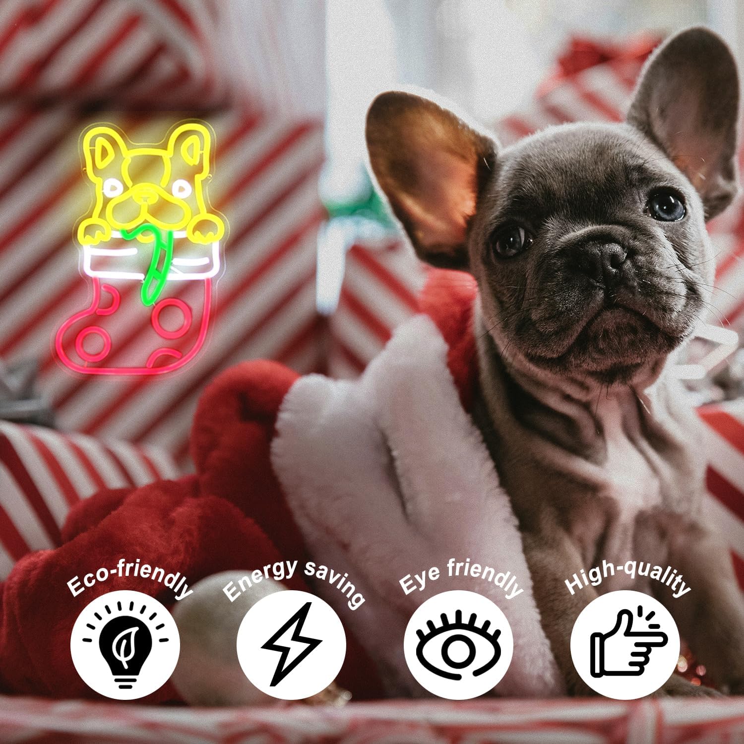 Französische Bulldogge Weihnac – Lighting Christmas Decor Bewertung und Preis